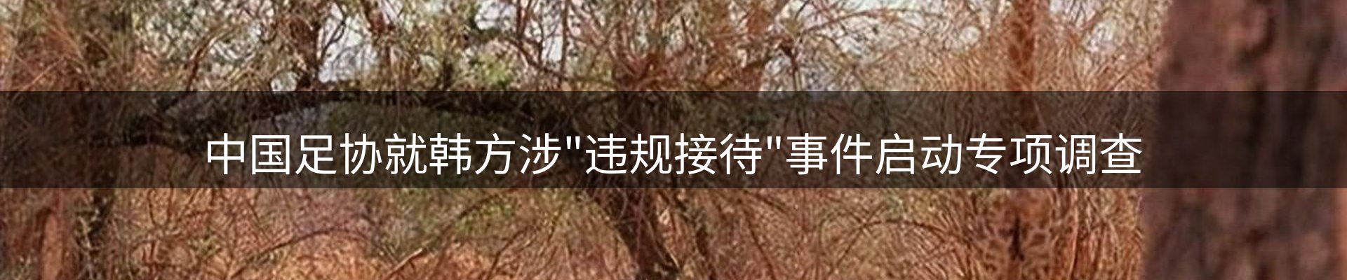 新闻中心