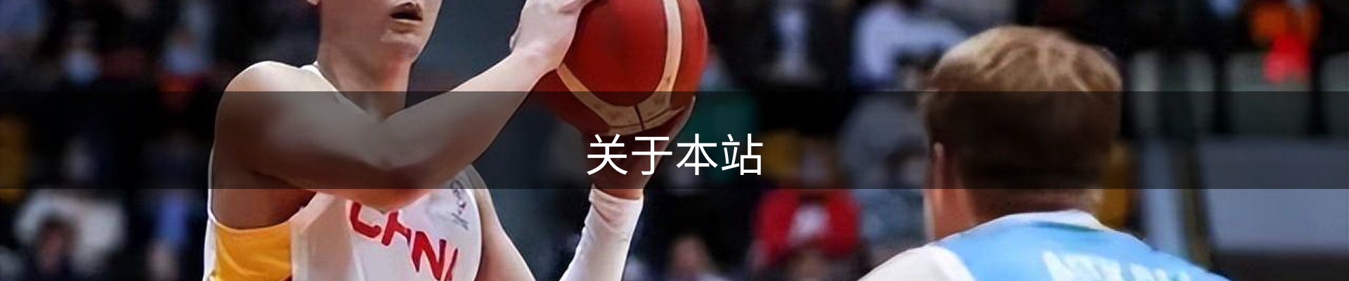 关于本站