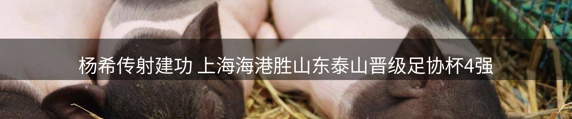 热点视窗