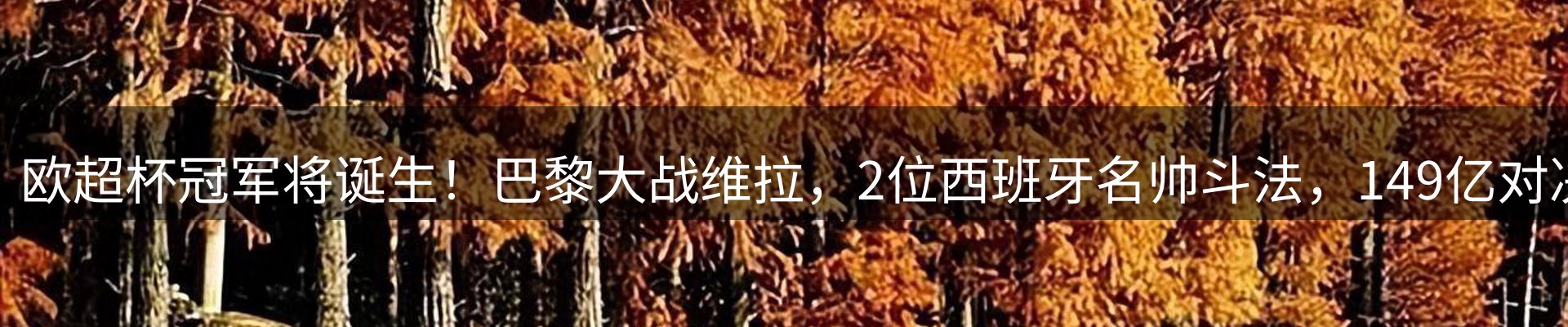 新闻中心